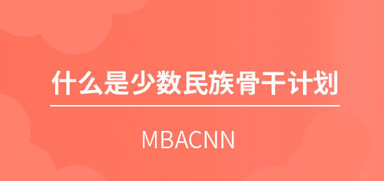 什么是少数民族骨干计划？